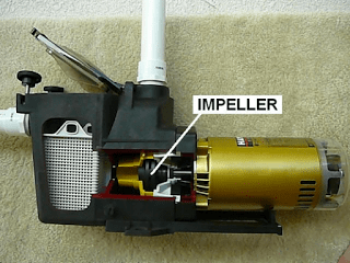 Troubleshoot Your Noisy Pool Pump in 3 Easy DIY Ways