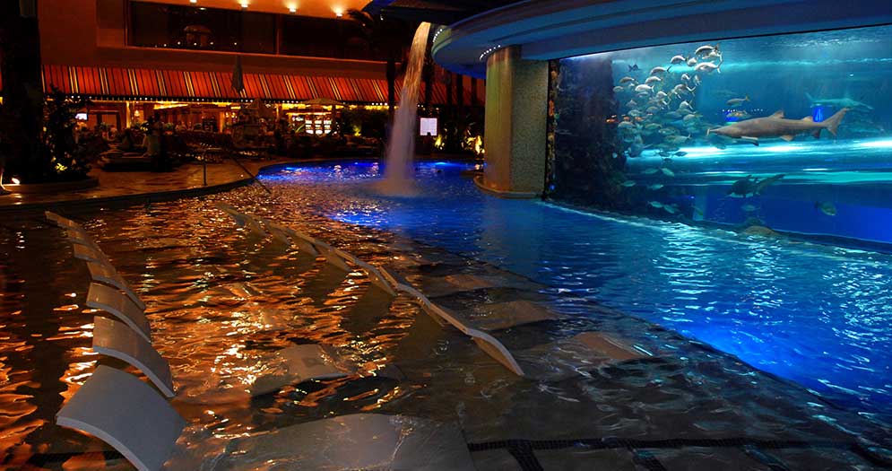 Tank at the Golden Nugget Casino Hotel, Las Vegas